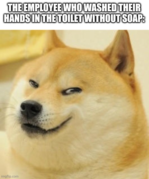 evil doge | THE EMPLOYEE WHO WASHED THEIR HANDS IN THE TOILET WITHOUT SOAP: | image tagged in evil doge | made w/ Imgflip meme maker