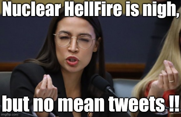So... we got that goin for us, right Lama? | Nuclear HellFire is nigh, but no mean tweets !! | image tagged in aoc spicy meatball | made w/ Imgflip meme maker