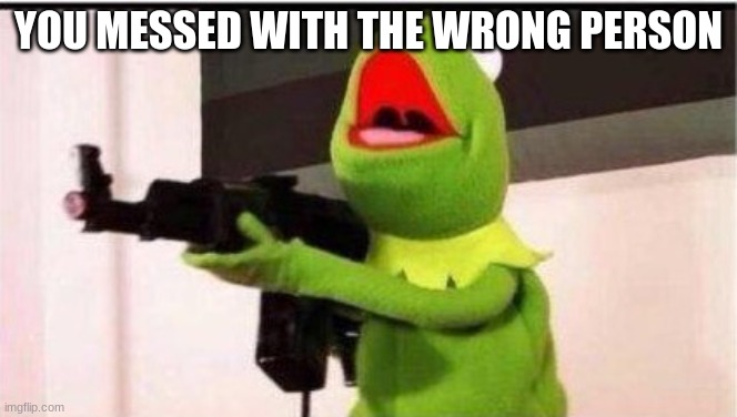 kermit with an ak47 | YOU MESSED WITH THE WRONG PERSON | image tagged in kermit with an ak47 | made w/ Imgflip meme maker