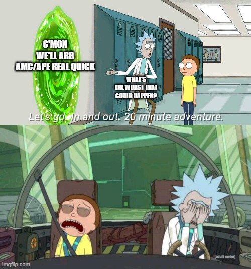 20 minute adventure rick morty | C'MON WE'LL ARB AMC/APE REAL QUICK; WHAT'S THE WORST THAT COULD HAPPEN? | image tagged in 20 minute adventure rick morty | made w/ Imgflip meme maker