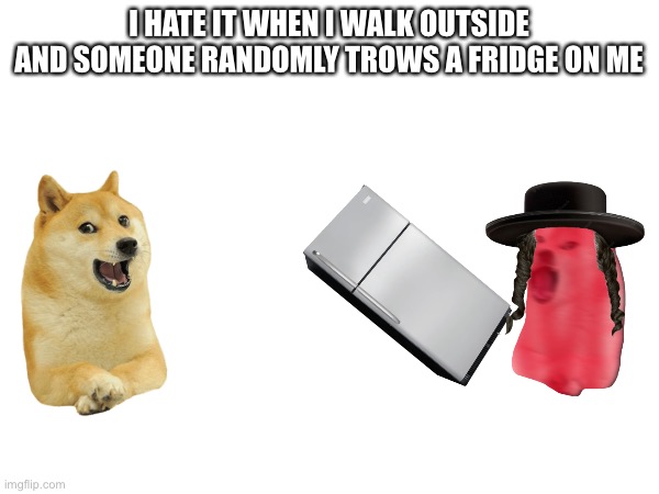 Yes | I HATE IT WHEN I WALK OUTSIDE AND SOMEONE RANDOMLY TROWS A FRIDGE ON ME | image tagged in fridge,doge | made w/ Imgflip meme maker