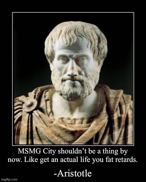 What is the purpose behind a fake city named after a fucking community in a meme site | MSMG City shouldn’t be a thing by now. Like get an actual life you fat retards. | image tagged in -aristotle | made w/ Imgflip meme maker