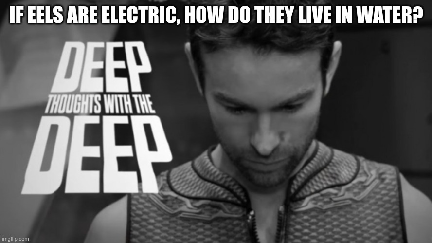 hold up.. | IF EELS ARE ELECTRIC, HOW DO THEY LIVE IN WATER? | image tagged in deep thoughts with the deep | made w/ Imgflip meme maker