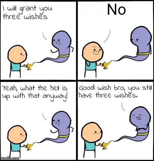 3 Wishes | No | image tagged in 3 wishes | made w/ Imgflip meme maker