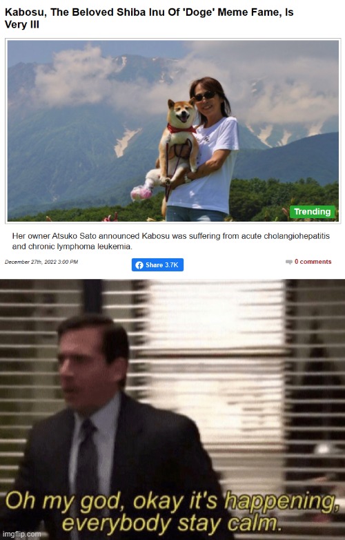 ): | made w/ Imgflip meme maker