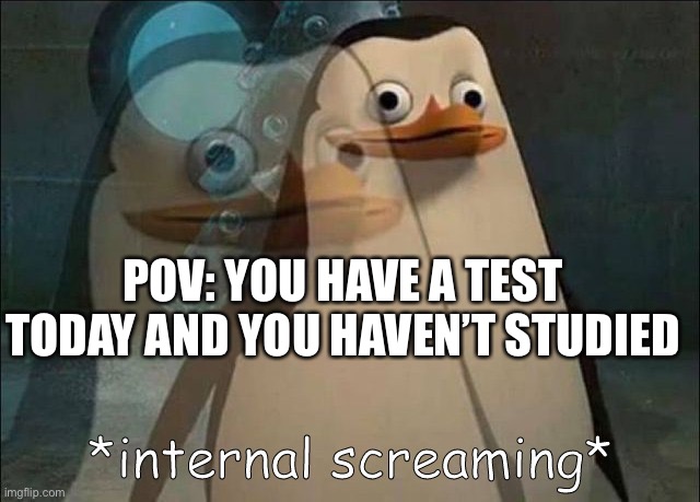 School | POV: YOU HAVE A TEST TODAY AND YOU HAVEN’T STUDIED | image tagged in private internal screaming | made w/ Imgflip meme maker