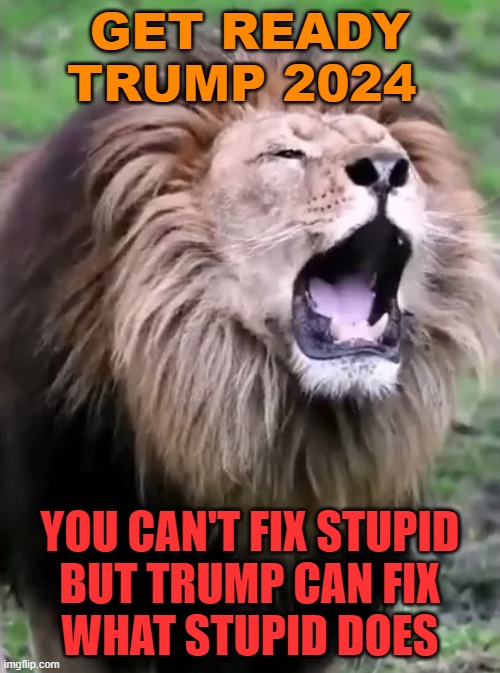 You Can't Fix Stupid But Trump Can Fix What Stupid Does | GET READY
TRUMP 2024; YOU CAN'T FIX STUPID
BUT TRUMP CAN FIX
WHAT STUPID DOES | image tagged in donald trump 2024 | made w/ Imgflip meme maker