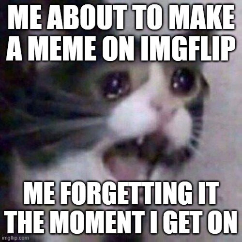 WHYYYYYYYYYYYYYYYYYYYYYYYYYYYYYYYYYYYYYYYYYYYYYYYYYYYY | ME ABOUT TO MAKE A MEME ON IMGFLIP; ME FORGETTING IT THE MOMENT I GET ON | image tagged in screaming cat meme | made w/ Imgflip meme maker