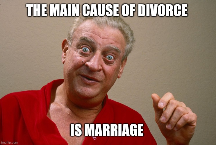 THE MAIN CAUSE OF DIVORCE; IS MARRIAGE | made w/ Imgflip meme maker