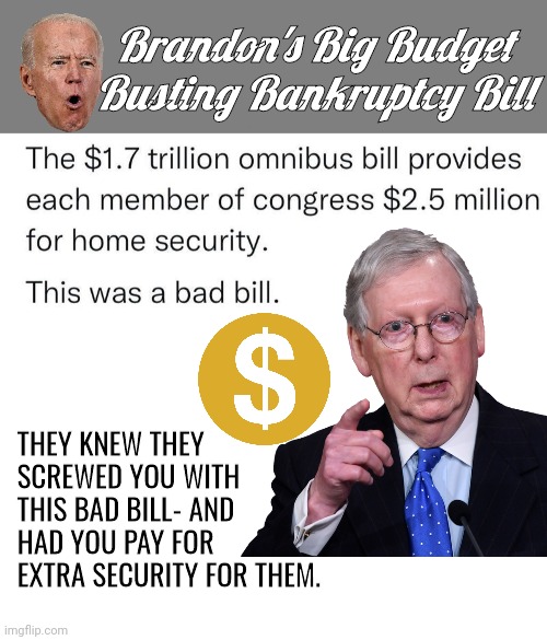 Biden Bankruptcy Bill | Brandon's Big Budget Busting Bankruptcy Bill; THEY KNEW THEY SCREWED YOU WITH THIS BAD BILL- AND HAD YOU PAY FOR EXTRA SECURITY FOR THEM. | image tagged in blank grey,blank white template | made w/ Imgflip meme maker