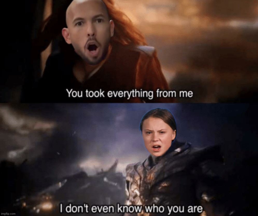 So uhh, how the hell did these two cross paths anyway? strange times we live in | image tagged in andrew tate vs greta thunberg thanos | made w/ Imgflip meme maker