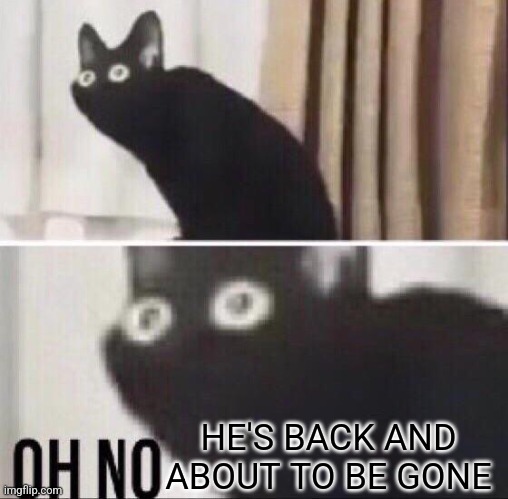 Oh no cat | HE'S BACK AND ABOUT TO BE GONE | image tagged in oh no cat | made w/ Imgflip meme maker