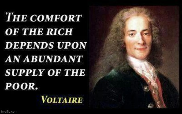 voltaire | image tagged in voltaire | made w/ Imgflip meme maker