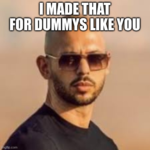 andrew tate | I MADE THAT FOR DUMMYS LIKE YOU | image tagged in andrew tate | made w/ Imgflip meme maker