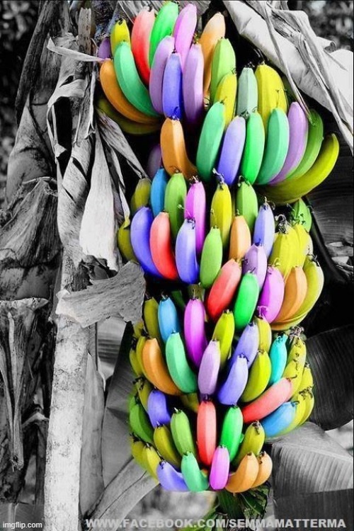 banana | image tagged in food | made w/ Imgflip meme maker