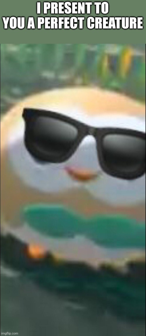 Cool ROWLET | I PRESENT TO YOU A PERFECT CREATURE | image tagged in cool rowlet | made w/ Imgflip meme maker