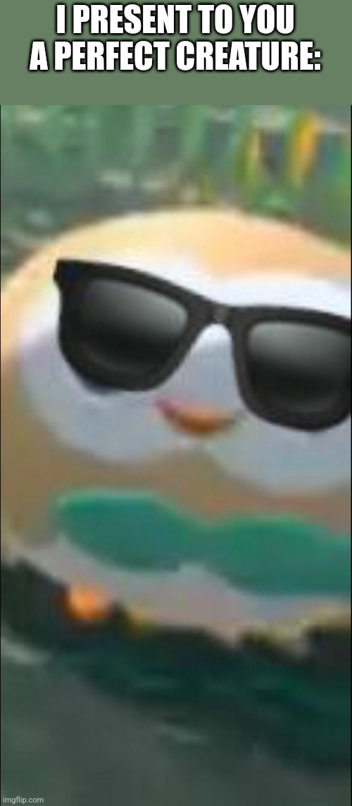 Cool ROWLET | I PRESENT TO YOU A PERFECT CREATURE: | image tagged in cool rowlet | made w/ Imgflip meme maker