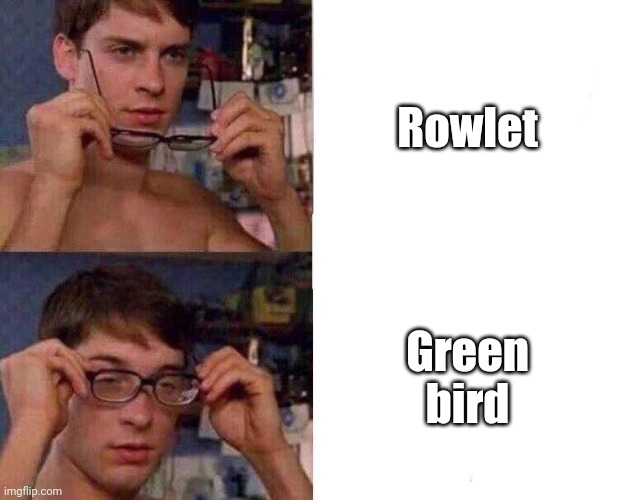 Spiderman Glasses | Rowlet Green bird | image tagged in spiderman glasses | made w/ Imgflip meme maker