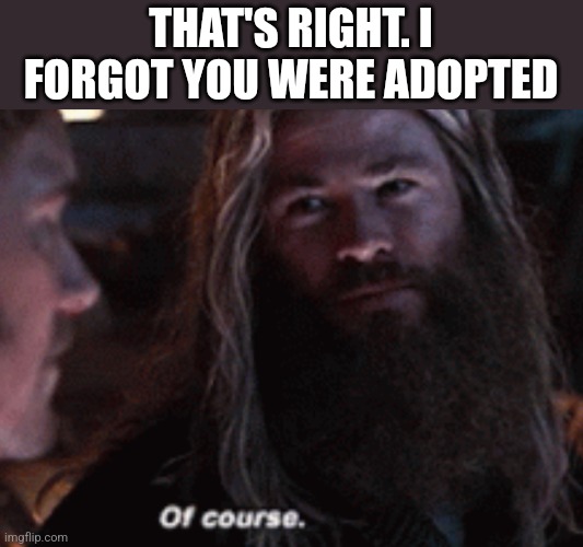 Thor “of course” | THAT'S RIGHT. I FORGOT YOU WERE ADOPTED | image tagged in thor of course | made w/ Imgflip meme maker