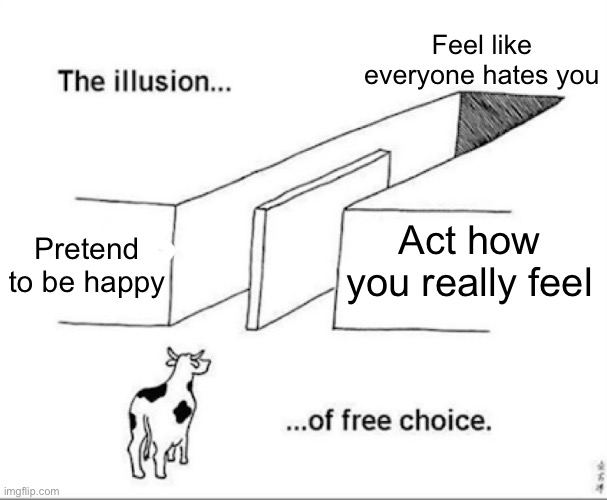 Behold the big sad | Feel like everyone hates you; Pretend to be happy; Act how you really feel | image tagged in illusion of free choice | made w/ Imgflip meme maker