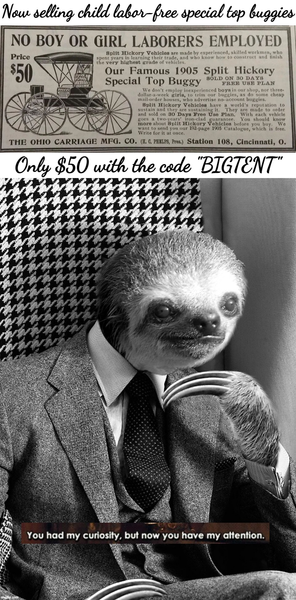 Now selling child labor-free special top buggies; Only $50 with the code "BIGTENT" | image tagged in curiously offensive vintage ads,sloth gentleman | made w/ Imgflip meme maker