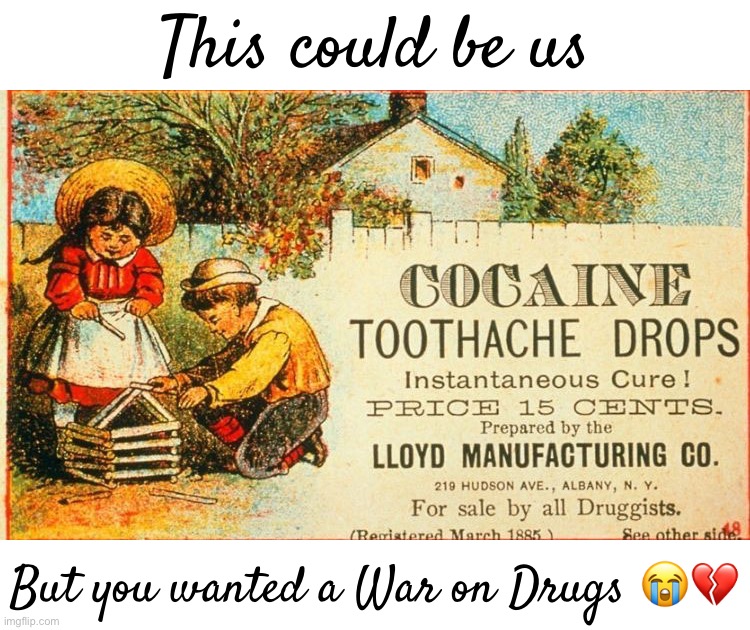 It’s not too late to vote Big Tent Alliance, end the War on Drugs for good & re-legalize cocaine toothache drops | This could be us; But you wanted a War on Drugs 😭💔 | image tagged in curiously offensive vintage ads,big tent alliance,big,tent,energy,cocaine toothache drops | made w/ Imgflip meme maker