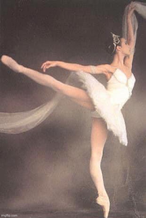 Former Ballerina Patricia McBride | image tagged in former ballerina patricia mcbride | made w/ Imgflip meme maker