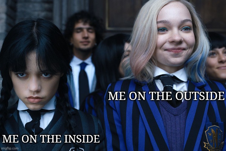 Dead Inside Perky Outside | ME ON THE OUTSIDE; ME ON THE INSIDE | image tagged in wednesday and enid | made w/ Imgflip meme maker