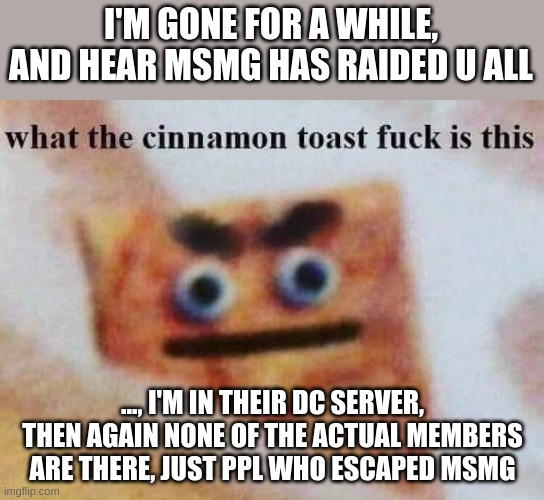 Well now... | I'M GONE FOR A WHILE, AND HEAR MSMG HAS RAIDED U ALL; ..., I'M IN THEIR DC SERVER, THEN AGAIN NONE OF THE ACTUAL MEMBERS ARE THERE, JUST PPL WHO ESCAPED MSMG | image tagged in what the cinnamon toast f is this | made w/ Imgflip meme maker