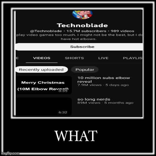 Sorry if I'm a little late | WHAT | image tagged in what,technoblade,youtube | made w/ Imgflip meme maker