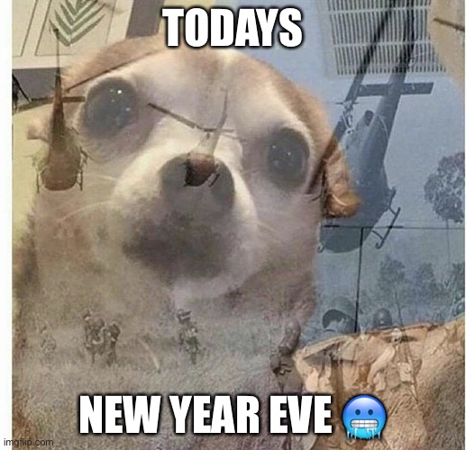 3:00am for me | TODAYS; NEW YEAR EVE 🥶 | image tagged in ptsd chihuahua | made w/ Imgflip meme maker