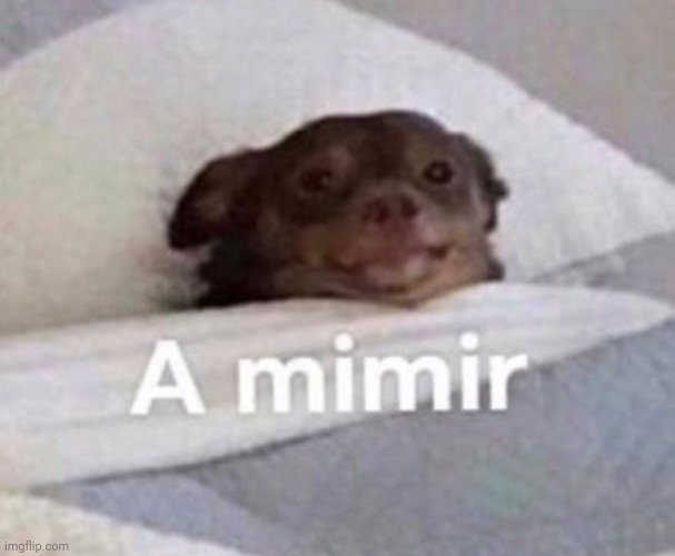 made w/ Imgflip meme maker