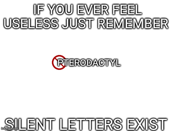Absolutely useless |  IF YOU EVER FEEL USELESS JUST REMEMBER; PTERODACTYL; SILENT LETTERS EXIST | image tagged in useless,letters | made w/ Imgflip meme maker