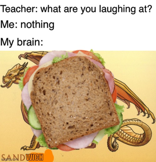 WICH | image tagged in teacher what are you laughing at | made w/ Imgflip meme maker