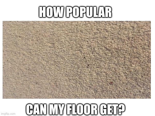 l got bored | HOW POPULAR; CAN MY FLOOR GET? | image tagged in floor,memes | made w/ Imgflip meme maker