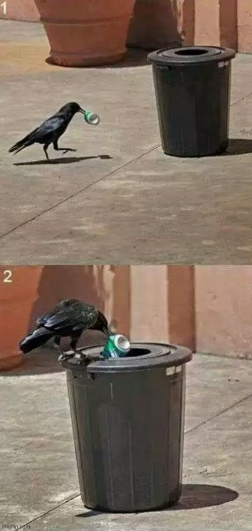 crows being cleaner than people | made w/ Imgflip meme maker