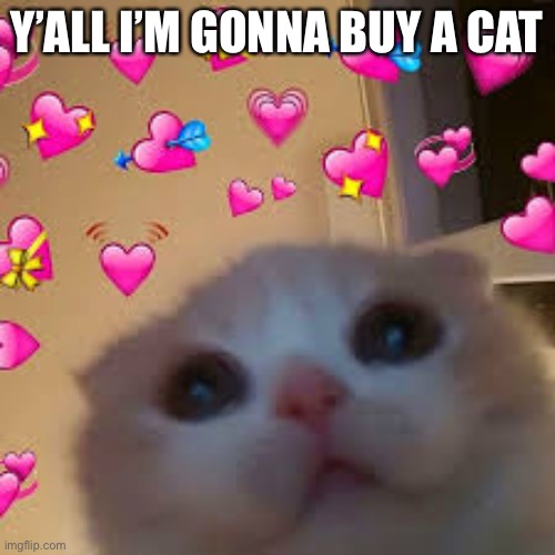 Y’ALL I’M GONNA BUY A CAT | made w/ Imgflip meme maker