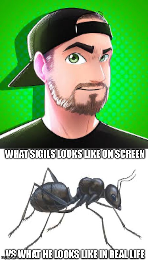 WHAT SIGILS LOOKS LIKE ON SCREEN; VS WHAT HE LOOKS LIKE IN REAL LIFE | made w/ Imgflip meme maker