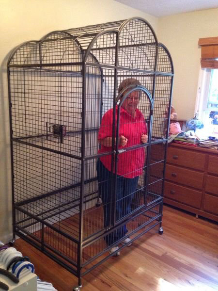 High Quality Grandma in a cage Blank Meme Template