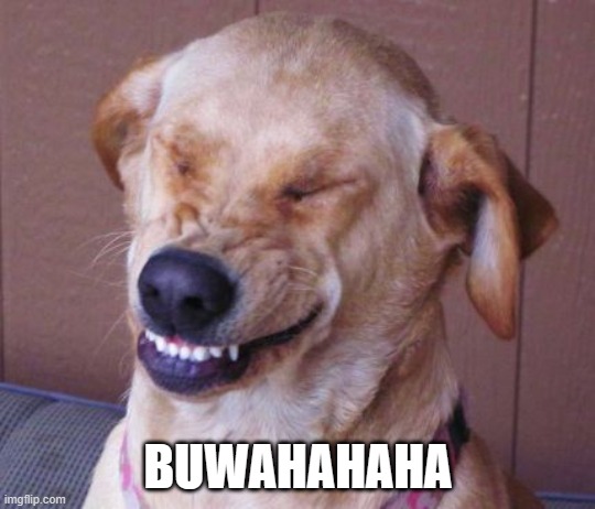 BUWAHAHAHA | made w/ Imgflip meme maker