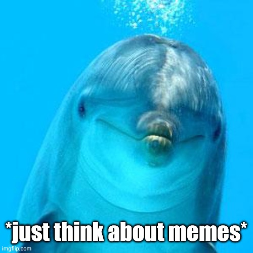 Dolphin thinking | *just think about memes* | image tagged in dolphin don't play games | made w/ Imgflip meme maker
