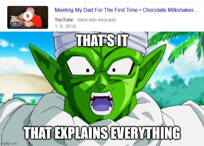 THAT'S IT; THAT EXPLAINS EVERYTHING | image tagged in piccolo that explains everything,memes,nikocado avocado | made w/ Imgflip meme maker