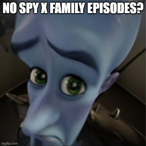 no | NO SPY X FAMILY EPISODES? | image tagged in megamind peeking,spy x family,anime,memes | made w/ Imgflip meme maker