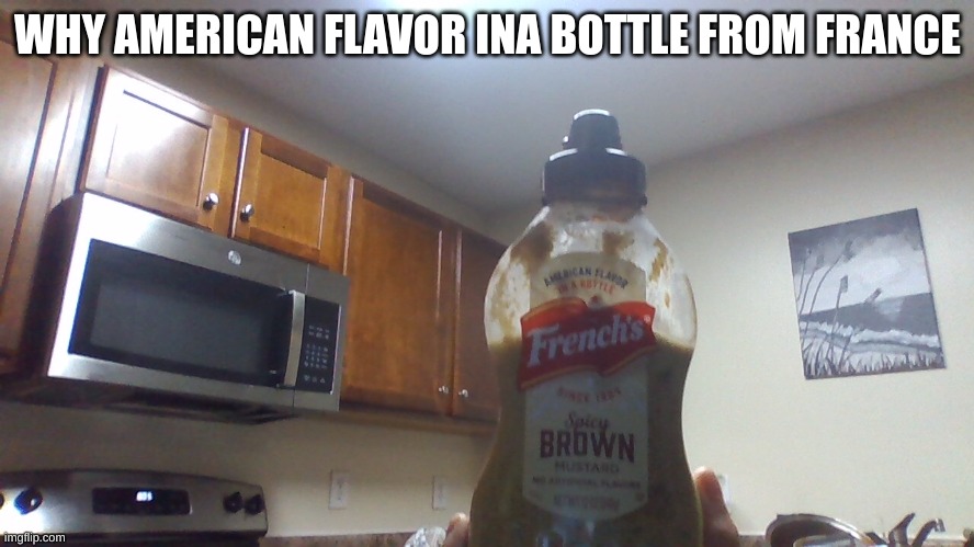 American flavor in a bottle from france | WHY AMERICAN FLAVOR INA BOTTLE FROM FRANCE | image tagged in memes | made w/ Imgflip meme maker