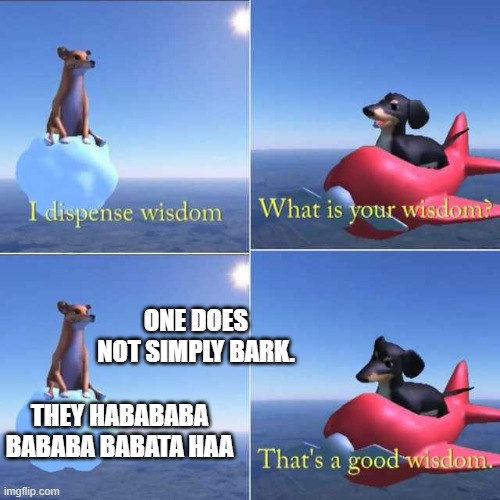 Wisdom Dog | ONE DOES NOT SIMPLY BARK. THEY HABABABA BABABA BABATA HAA | image tagged in wisdom dog | made w/ Imgflip meme maker