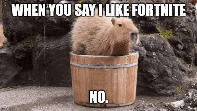 Capybara bath | WHEN YOU SAY I LIKE FORTNITE; NO. | image tagged in capybara bath | made w/ Imgflip meme maker