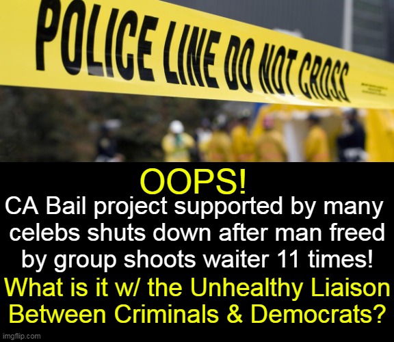 Criminals FIRST, Law-Abiding Citizens LAST! Danny Glover & John Legend Supported This Insanity. | OOPS! CA Bail project supported by many 
celebs shuts down after man freed
by group shoots waiter 11 times! What is it w/ the Unhealthy Liaison
Between Criminals & Democrats? | image tagged in politics,support criminals,law and order,celebrities,social justice warriors,california bail | made w/ Imgflip meme maker