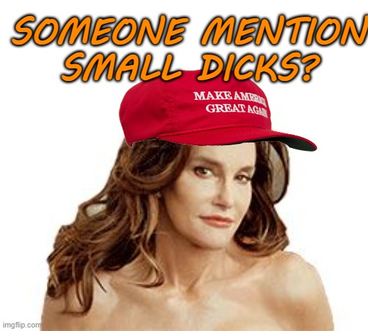 Bruce Jenner degenerate | SOMEONE MENTION
SMALL DICKS? | image tagged in bruce jenner degenerate | made w/ Imgflip meme maker