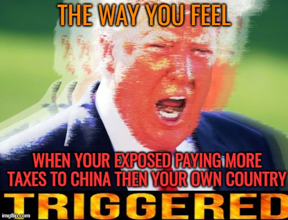 Donald Trump triggered | THE WAY YOU FEEL WHEN YOUR EXPOSED PAYING MORE TAXES TO CHINA THEN YOUR OWN COUNTRY | image tagged in donald trump triggered | made w/ Imgflip meme maker