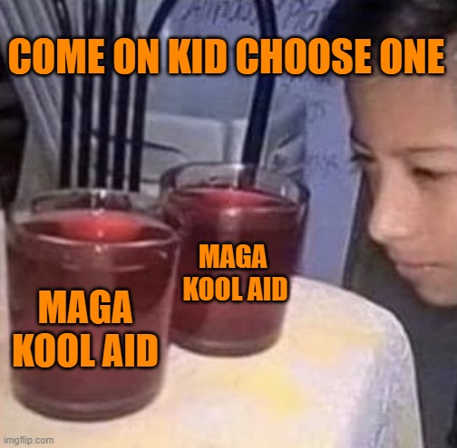 Same thing | MAGA 
KOOL AID MAGA KOOL AID COME ON KID CHOOSE ONE | image tagged in same thing | made w/ Imgflip meme maker